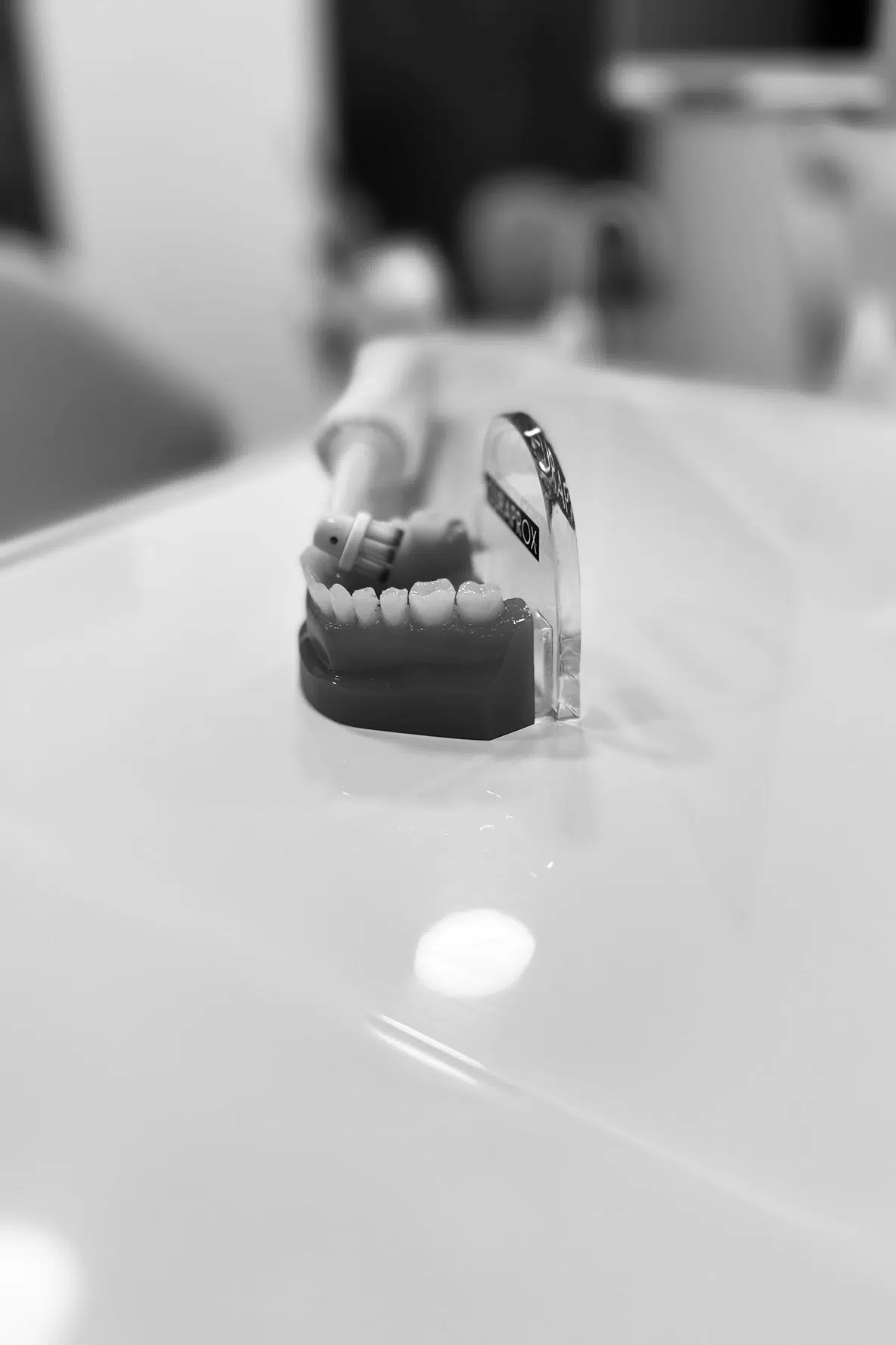dental studio 3 tri beograd belgrade nikola radovic igor mamlic general condition studio zubar stomatoloska ordinacija