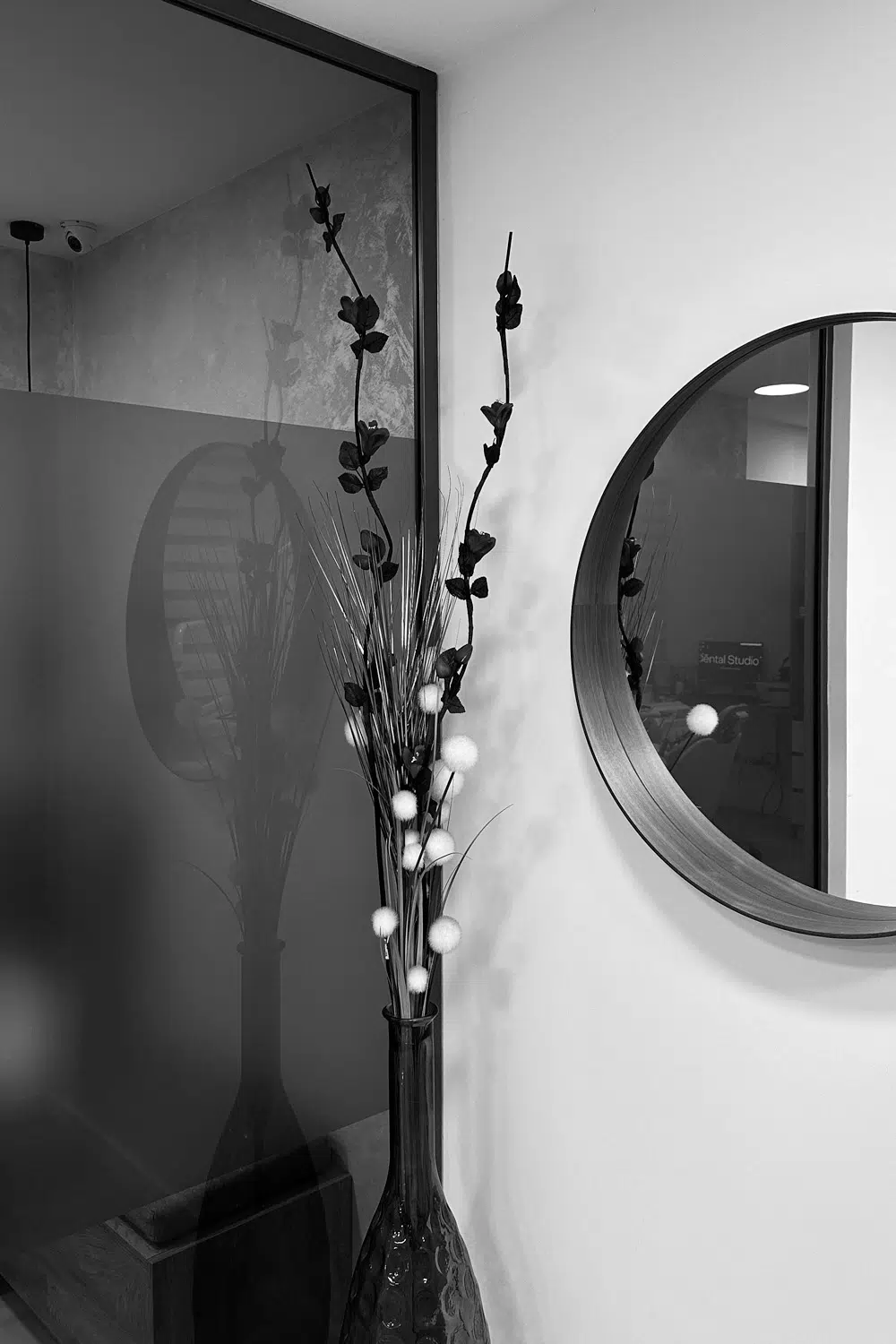 dental studio 3 tri beograd belgrade nikola radovic igor mamlic general condition studio zubar stomatoloska ordinacija